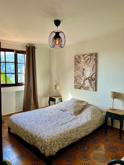 Entre Nice Et Monaco Grande Villa Avec Piscine Privee 12 Personnes Drap Extérieur photo