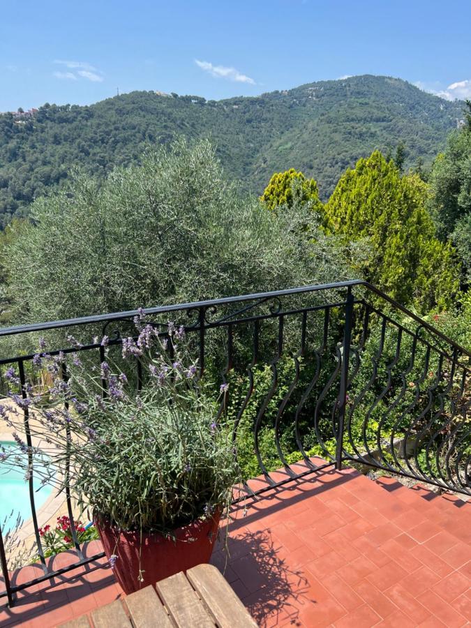 Entre Nice Et Monaco Grande Villa Avec Piscine Privee 12 Personnes Drap Extérieur photo